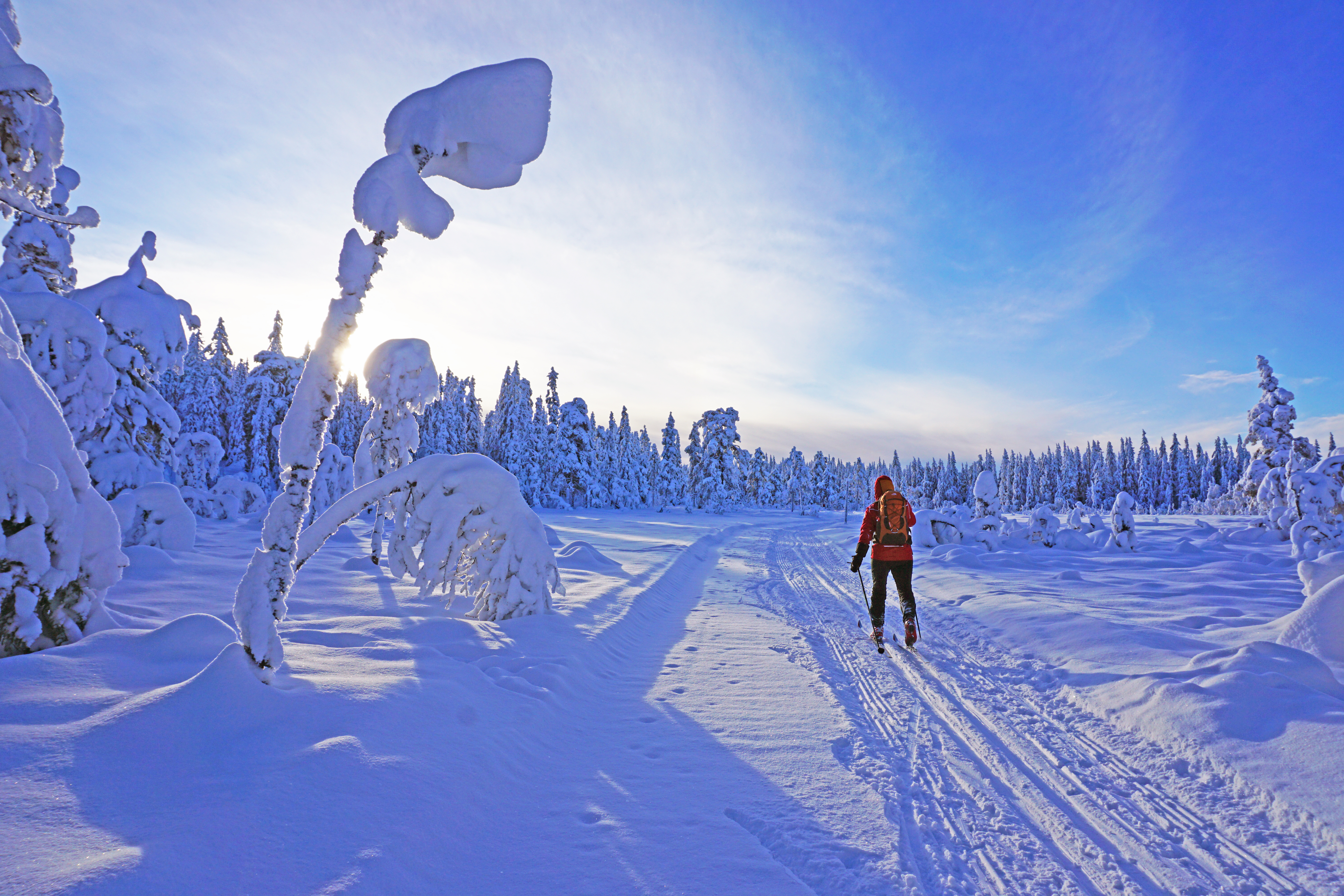 Skier in Norway